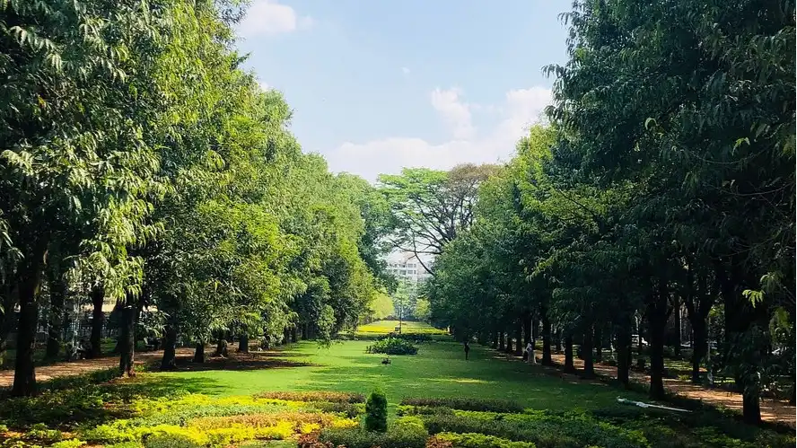 Cubbon Park